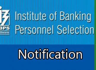 IBPS RRB Notification